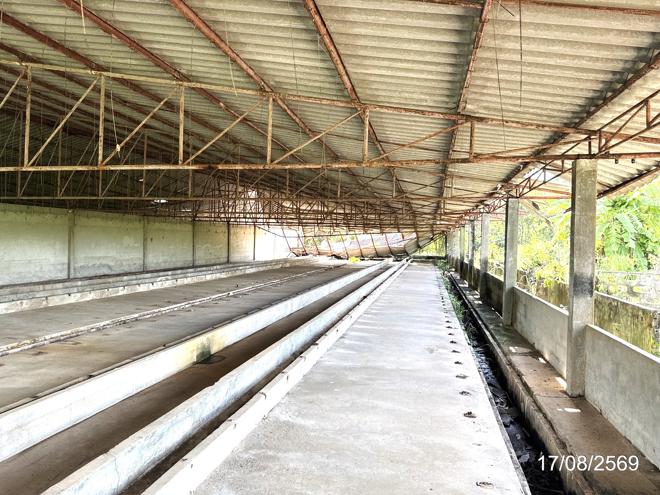 รูป โกดัง 3289 ตร.วา เดชอุดม อุบลราชธานี 5.3M - รูปที่ 14/45
