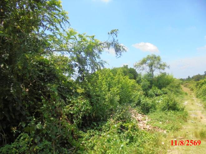 รูป ที่ดินว่างเปล่า 326 ตร.วา สุไหงโก-ลก นราธิวาส 1.8M - รูปที่ 6/15
