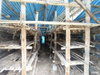 listing thumbnail image 35
