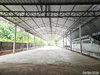 listing thumbnail image 42