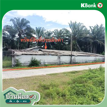 picture LAND 2259.1 Sq.w. Chalermphrakiet Nakhon Sri Thammarat for 6.7M - 43/45