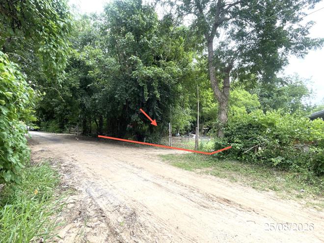 picture LAND 288 Sq.w. Muang Maha Sarakham Maha Sarakham for 288,000 - 2/15