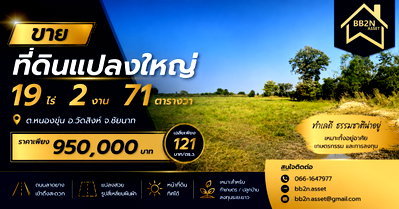 ที่ดิน วัดสิงห์ ชัยนาท : 🌿 ขายที่ดินแปลงใหญ่ จ.ชัยนาท | 19 ไร่ 2 งาน 71 ตร.ว. 💰 เพียง 950,000 บาท