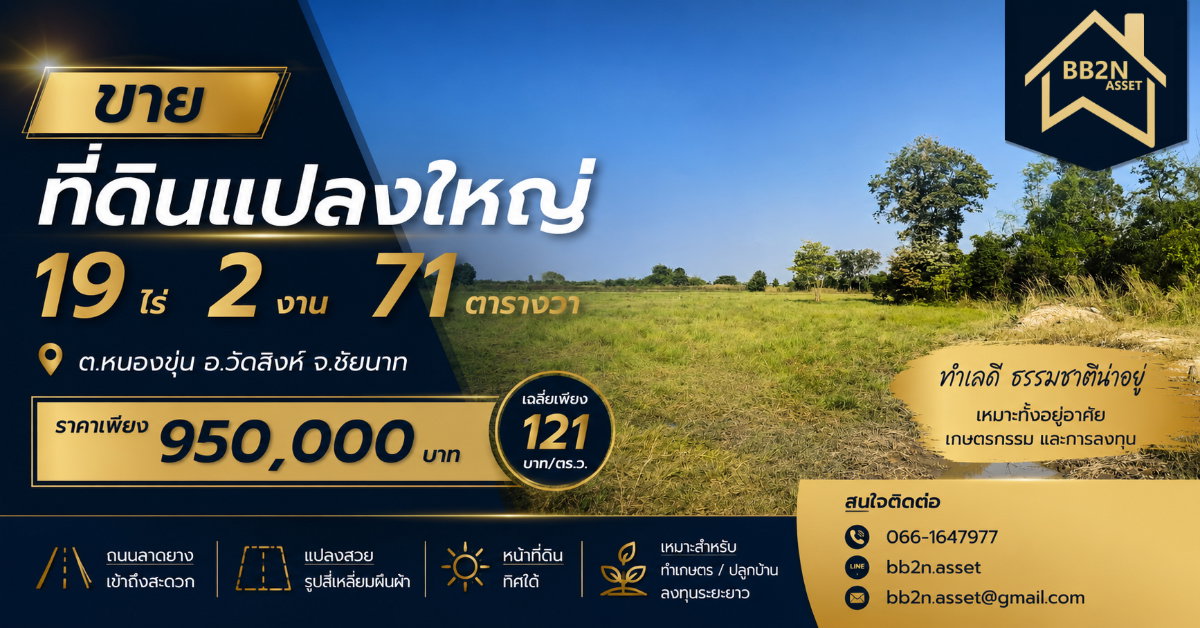 รูป 🌿 ขายที่ดินแปลงใหญ่ จ.ชัยนาท | 19 ไร่ 2 งาน 71 ตร.ว. 💰 เพียง 950,000 บาท - รูปที่ 1/6