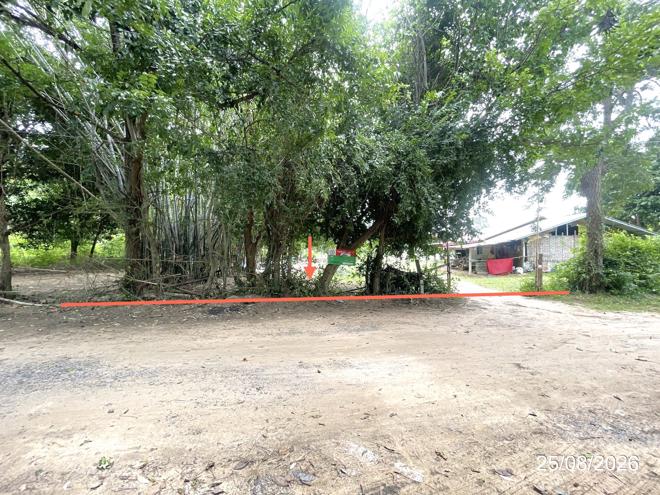 picture LAND 288 Sq.w. Muang Maha Sarakham Maha Sarakham for 288,000 - 1/15