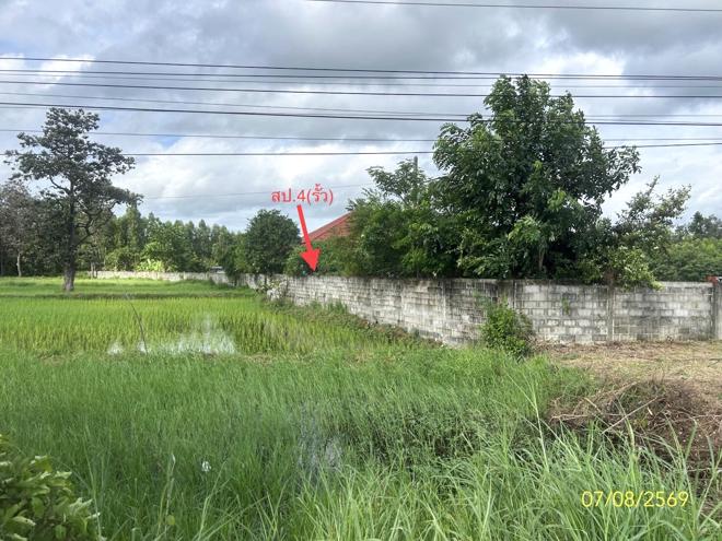 picture FACTORY 2800 Sq.w. Kham Khuan Kaeo Yasothon for 14.4M - 14/35
