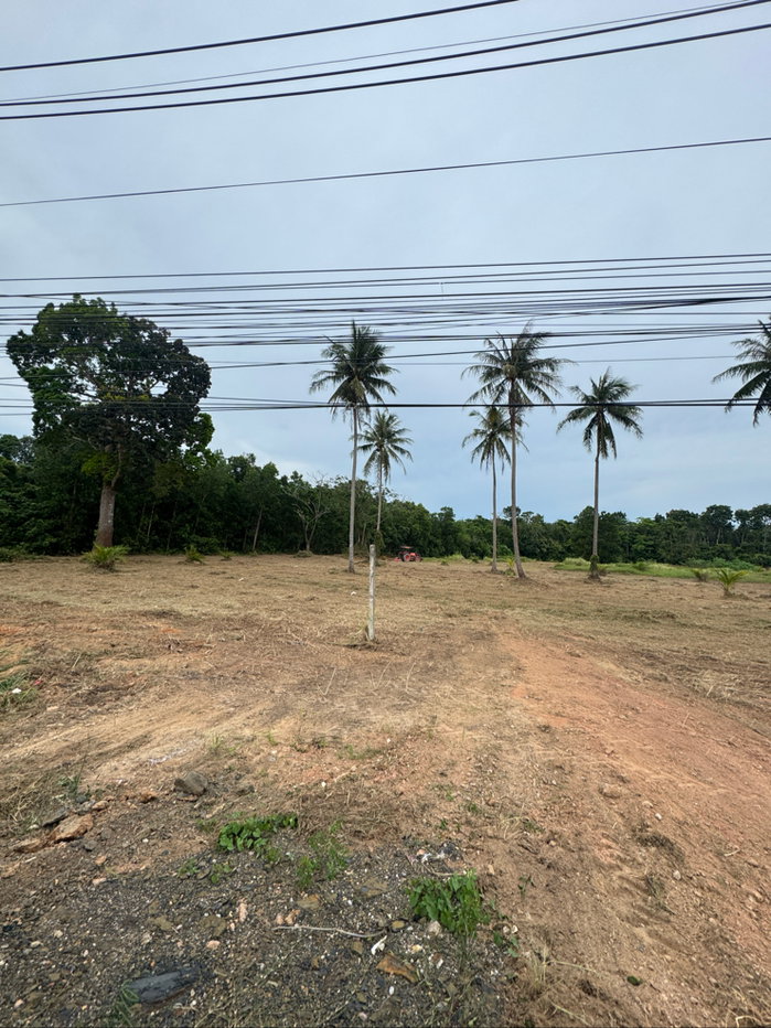 รูป ทำเลติดถนนใหญ่ ห่างสะพานสารสินแค่ 4 กม. - รูปที่ 7/7