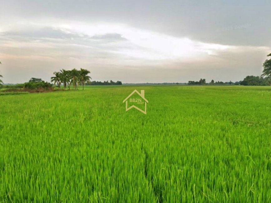 รูป 🌿 ขายที่ดินแปลงใหญ่ 10 ไร่ พิษณุโลก | ราคาเพียง 1.8 ล้านบาท - รูปที่ 2/8
