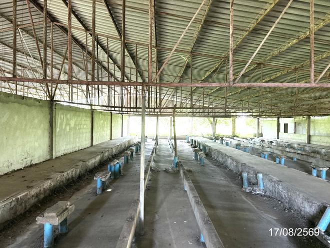 รูป โกดัง 3289 ตร.วา เดชอุดม อุบลราชธานี 5.3M - รูปที่ 12/45