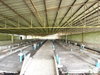 listing thumbnail image 28