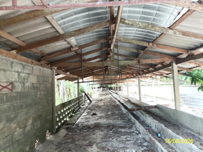 picture LAND 2259.1 Sq.w. Chalermphrakiet Nakhon Sri Thammarat for 6.7M - 9/45