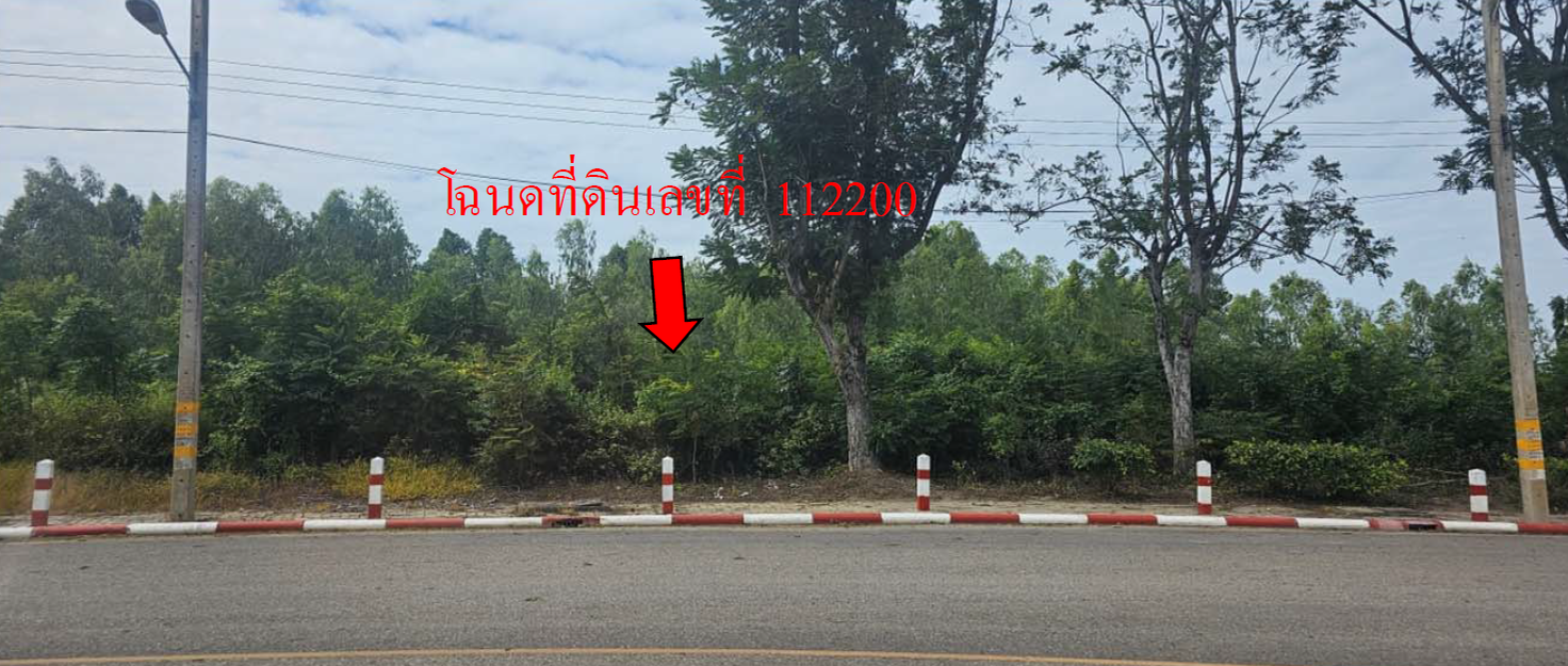 picture LAND 292.6 Sq.w. Muang Nakhon Pathom Nakhon Pathom for 2M - 10/12