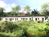 listing thumbnail image 54