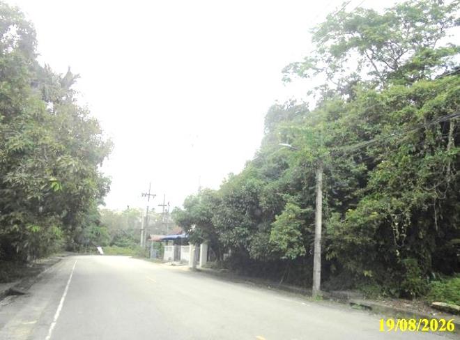 รูป ที่ดินว่างเปล่า 117 ตร.วา สุไหงปาดี นราธิวาส 1.9M - รูปที่ 6/15