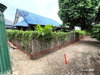 listing thumbnail image 34