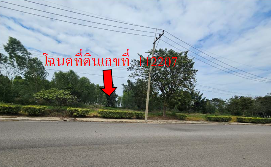 picture LAND 335.1 Sq.w. Muang Nakhon Pathom Nakhon Pathom for 2.3M - 9/11