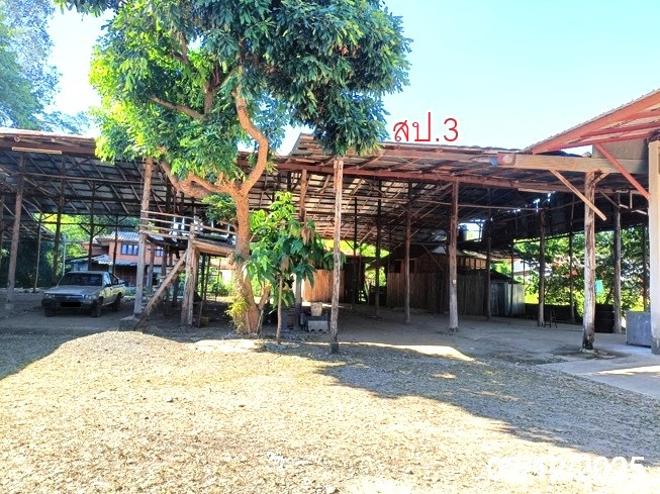 picture HOME 748 Sq.w. Pai Mae Hong Son for 5M - 5/23