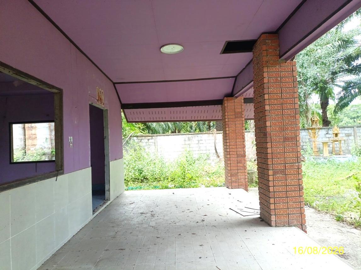 picture LAND 2259.1 Sq.w. Chalermphrakiet Nakhon Sri Thammarat for 6.7M - 37/45