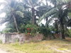 listing thumbnail image 20