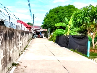 ที่ดิน พัทยา : Land with House for Sale Naklua North Pattaya