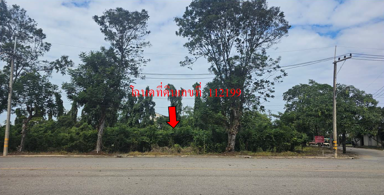 picture LAND 235.4 Sq.w. Muang Nakhon Pathom Nakhon Pathom for 1.6M - 10/12