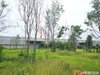 listing thumbnail image 22