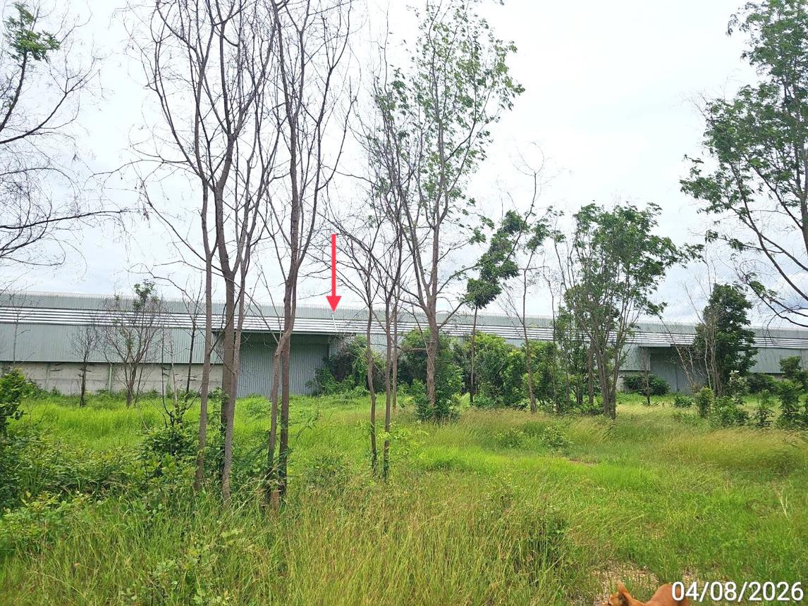 รูป โกดัง 46382.1 ตร.วา เมืองสุโขทัย สุโขทัย 175M - รูปที่ 23/45