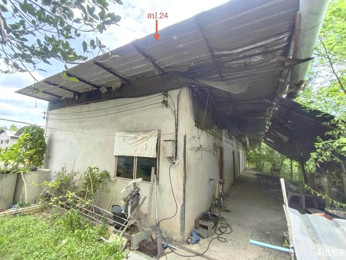 รูป ฟาร์ม 3360 ตร.วา เขาย้อย เพชรบุรี 7.8M - รูปที่ 38/45