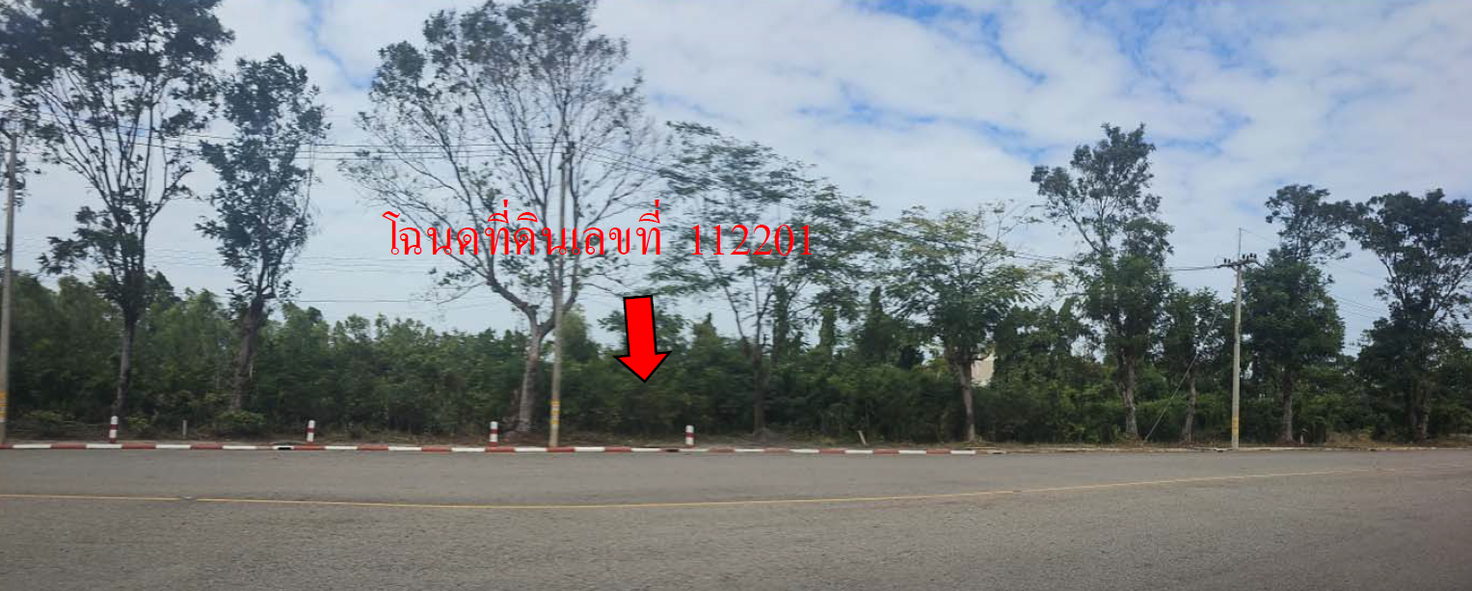 picture LAND 292.6 Sq.w. Muang Nakhon Pathom Nakhon Pathom for 2M - 9/12