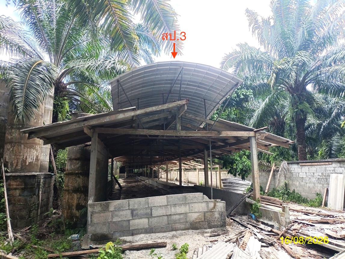picture LAND 2259.1 Sq.w. Chalermphrakiet Nakhon Sri Thammarat for 6.7M - 28/45