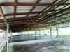 listing thumbnail image 26