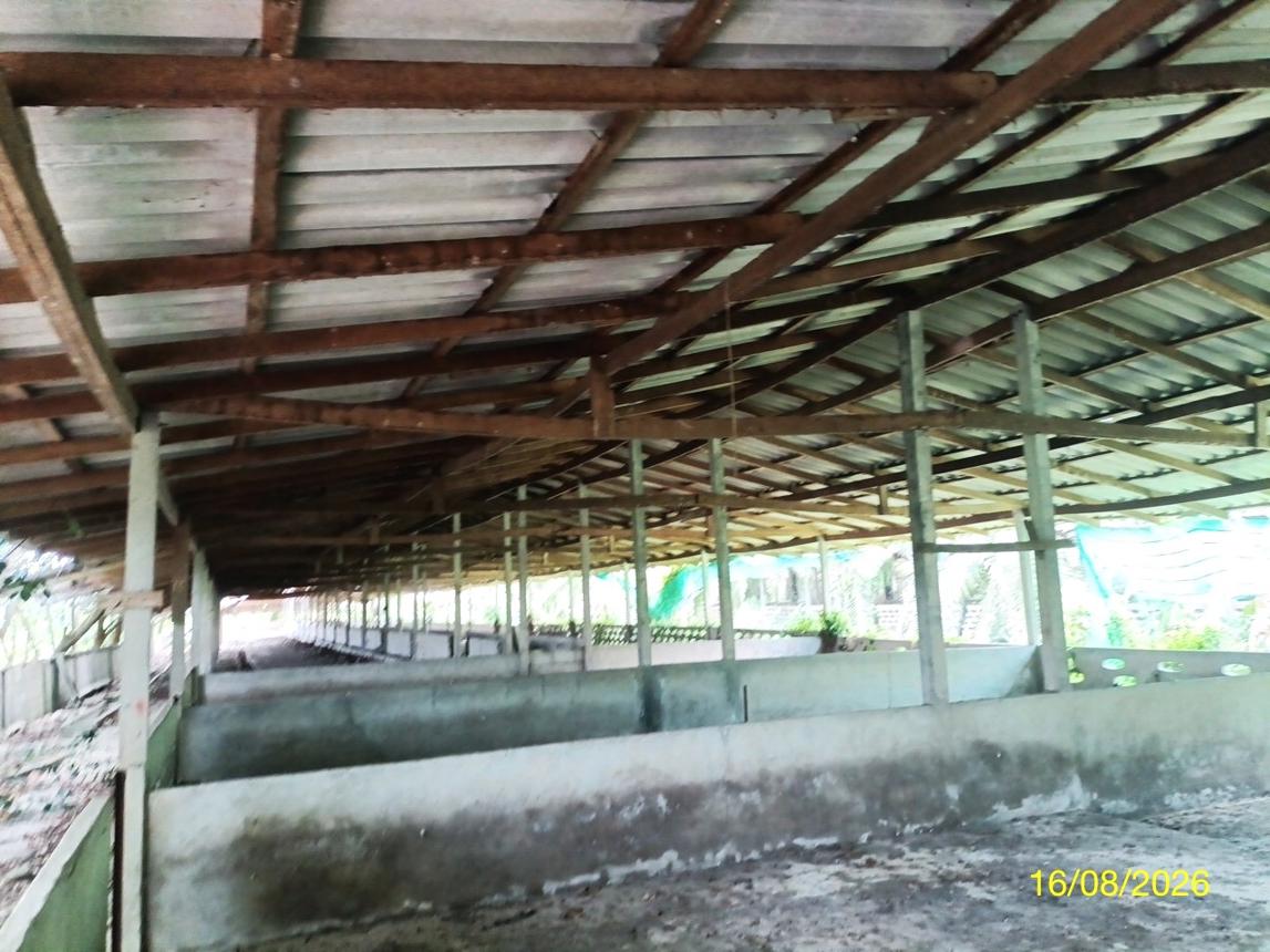 picture LAND 2259.1 Sq.w. Chalermphrakiet Nakhon Sri Thammarat for 6.7M - 27/45
