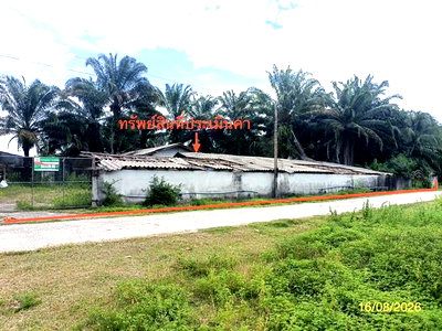 Land for sale Chalermphrakiet Nakhon Sri Thammarat : LAND 2259.1 Sq.w. Chalermphrakiet Nakhon Sri Thammarat for 6.7M