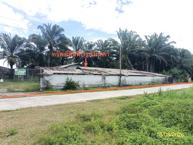 picture LAND 2259.1 Sq.w. Chalermphrakiet Nakhon Sri Thammarat for 6.7M - 1/45