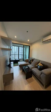 Ideo 6840552
