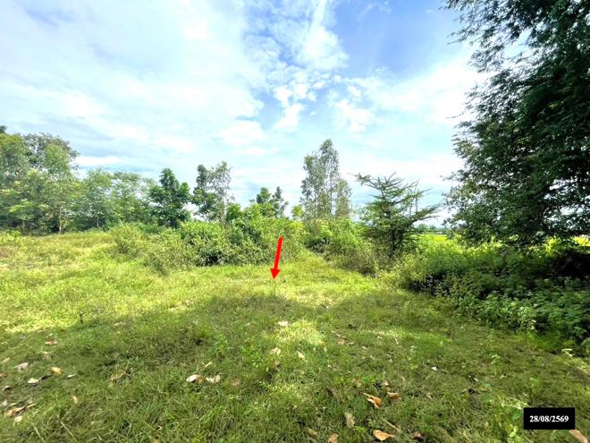 picture LAND 4600 Sq.w. Phon Na Kaeo Sakon Nakhon for 3.9M - 6/15