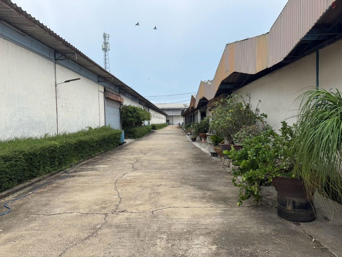 รูป ขายที่ดิน 31 ไร่ พร้อมโรงงานและโกดัง 13 หลัง ติดถนนมาลัยแมน (321) อ.เมืองสุพรรณบุรี - รูปที่ 10/11