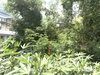 listing thumbnail image 6