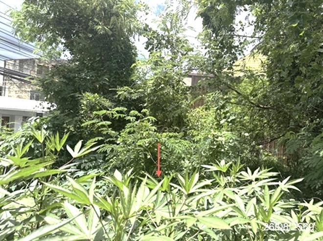 picture LAND 154.2 Sq.w. Warin Chamrap Ubon Ratchathani for 6.9M - 7/23