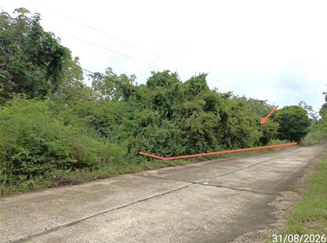 picture LAND 602 Sq.w. Selaphum Roi Et for 452,000 - 4/19