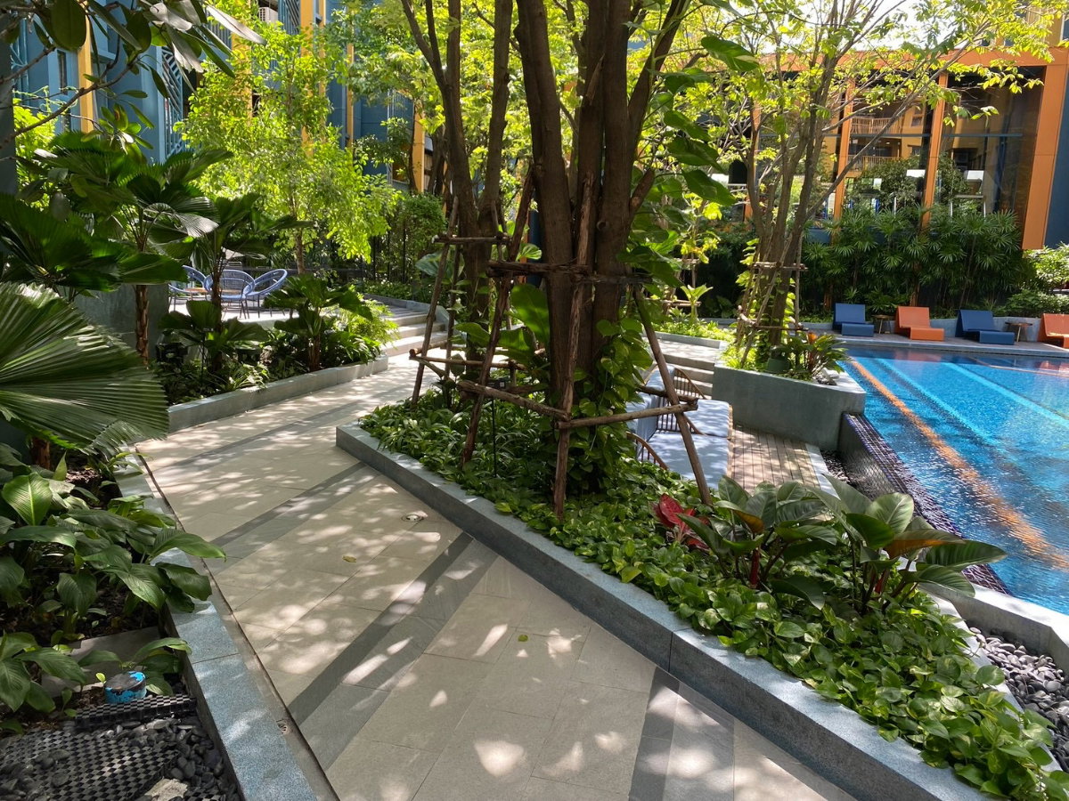 picture for rent 13,000/months thebasesukhumvit50 - 15/22