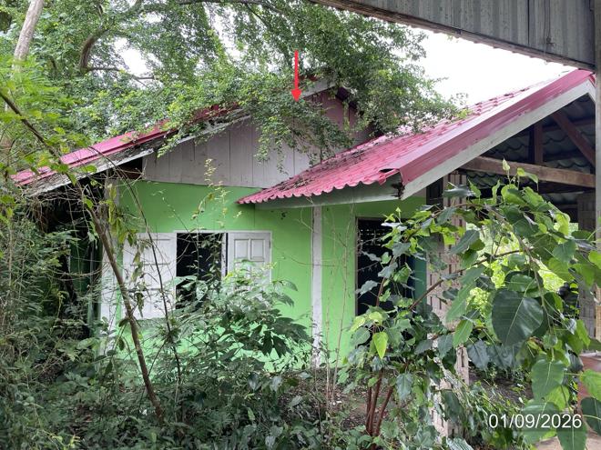รูป บ้านเดี่ยว 429.3 ตร.วา วิเชียรบุรี เพชรบูรณ์ 5.2M - รูปที่ 12/39