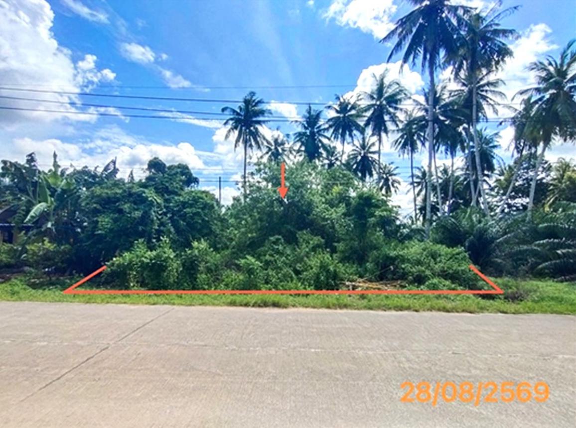 picture LAND 106 Sq.w. Khlong Thom Krabi for 679,000 - 9/19