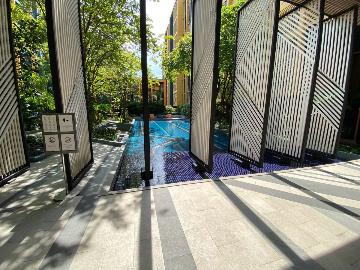 picture for rent 13,000/months thebasesukhumvit50 - 12/22