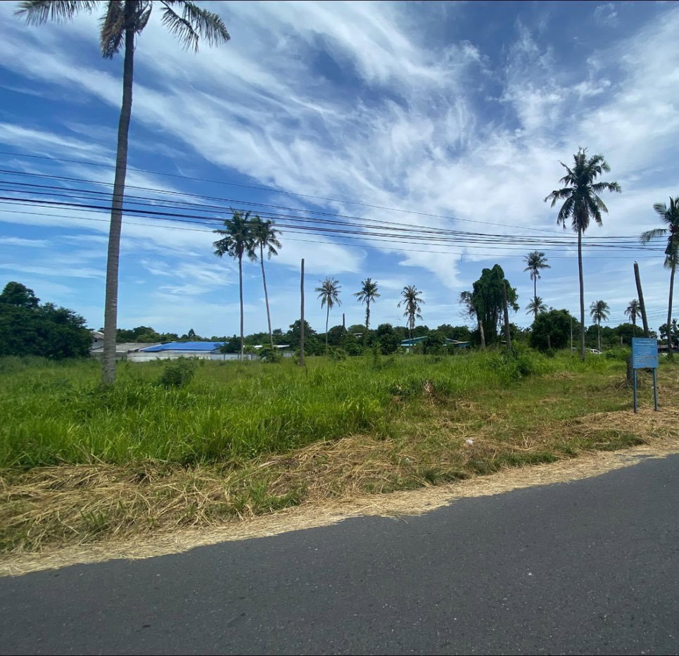 รูป ขายที่ดินหนองรี - หนองข้างคอก ที่ตั้งบ้านสวนซอย 11 - รูปที่ 3/5