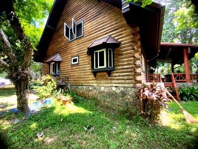 บ้านเดี่ยว เชียงใหม่ : บ้านพักตากอากาศ American Classic ไม้ซีด้า ริมแม่น้ำปิง แม่แตง