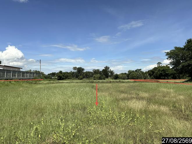 picture LAND 10404 Sq.w. Bua Yai Nakhon Ratchasima for 19.8M - 6/25