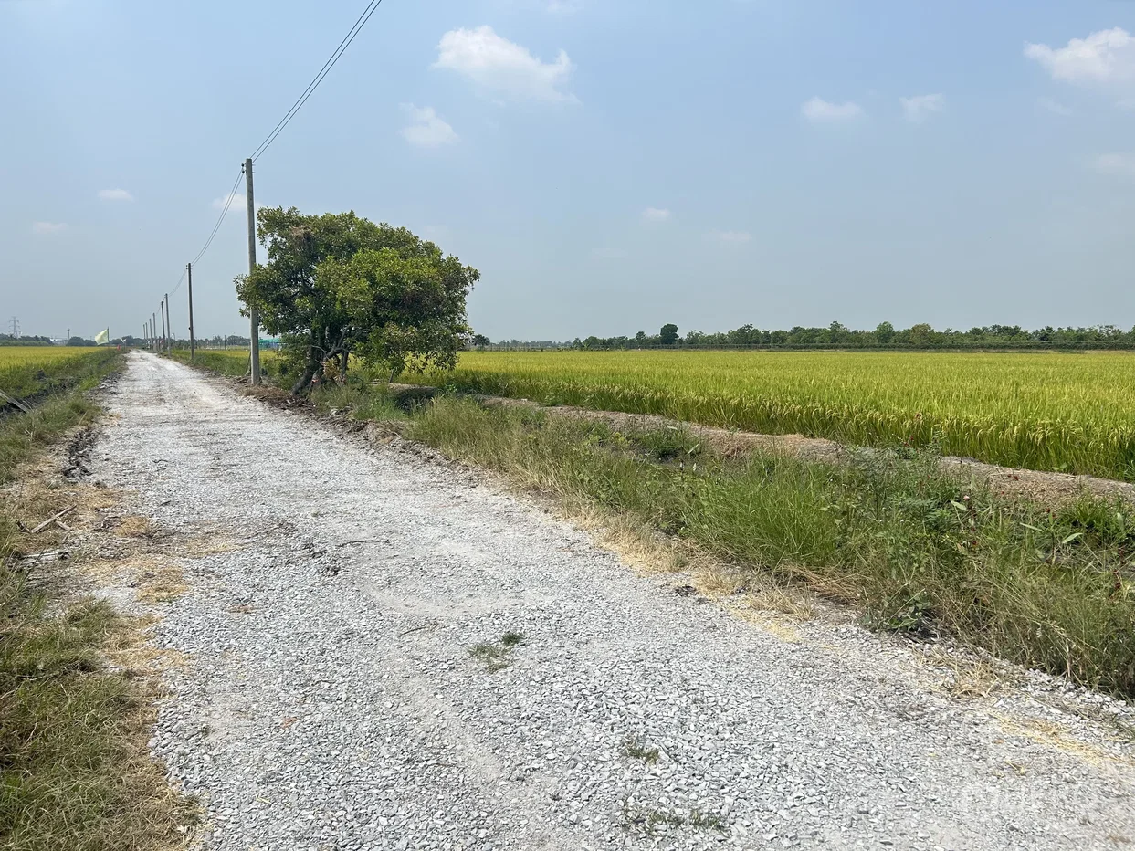 picture Land 2175 sq.w. in Purple zone Sai Yai, Sai Noi, Nonthaburi - 2/3