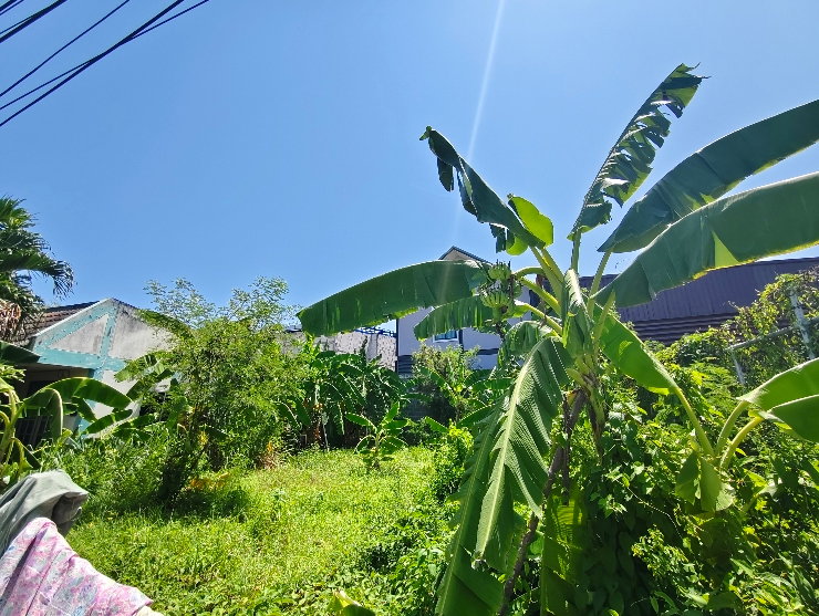 รูป ขายที่ดิน 46 ตร.ว. เสม็ด ที่ดินเมืองชลบุรี ใกล้วัดเตาปูน 1.35 ล้าน - รูปที่ 8/8