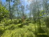 listing thumbnail image 23